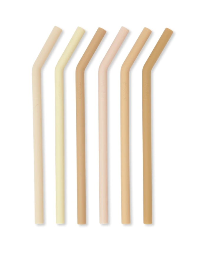 Silicone Straw Set of 6