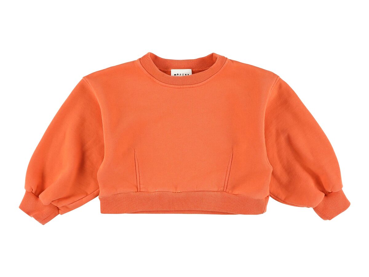 Velan Cropped Sweatshirt