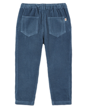 Pantalon Velours