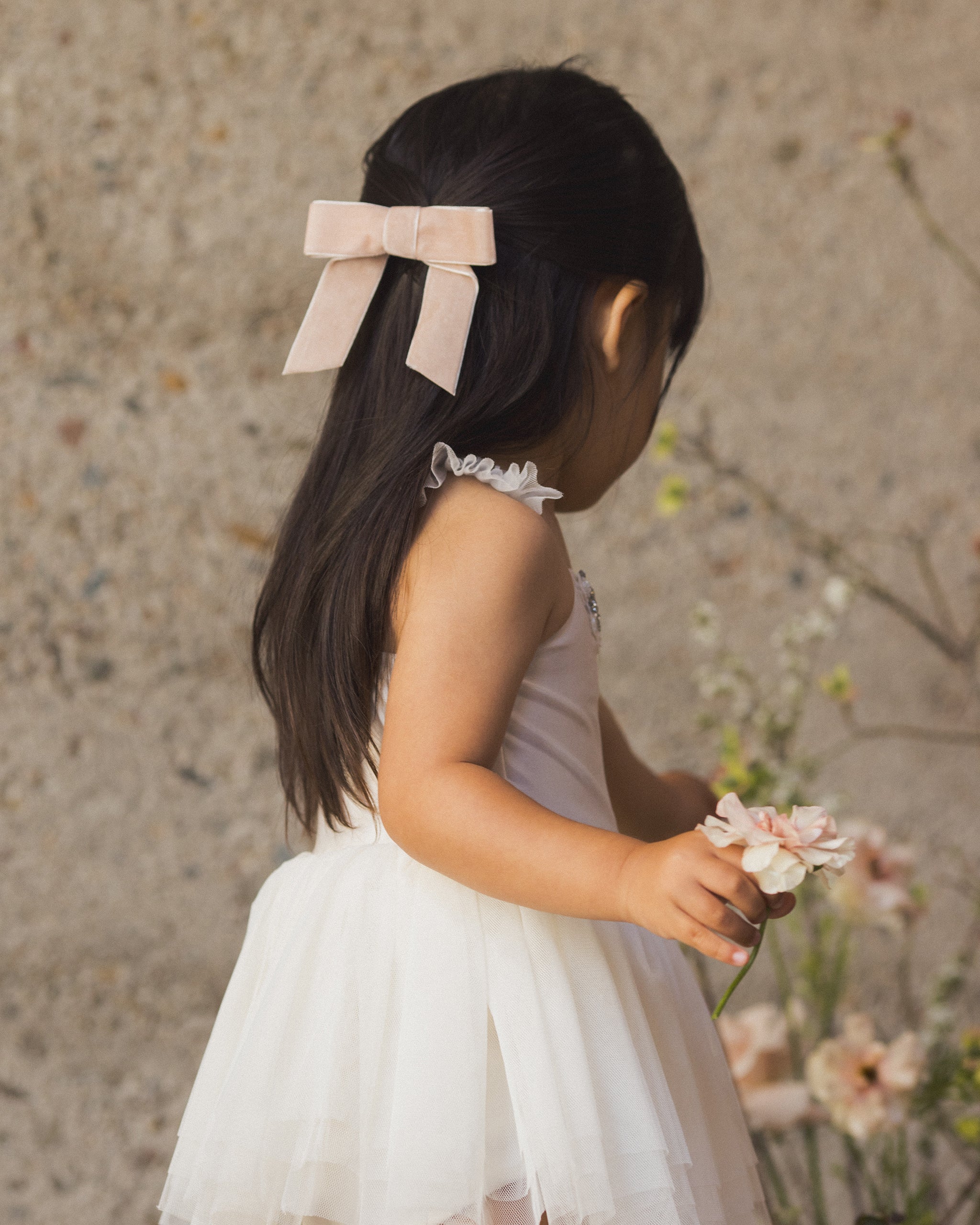 Velvet Bow