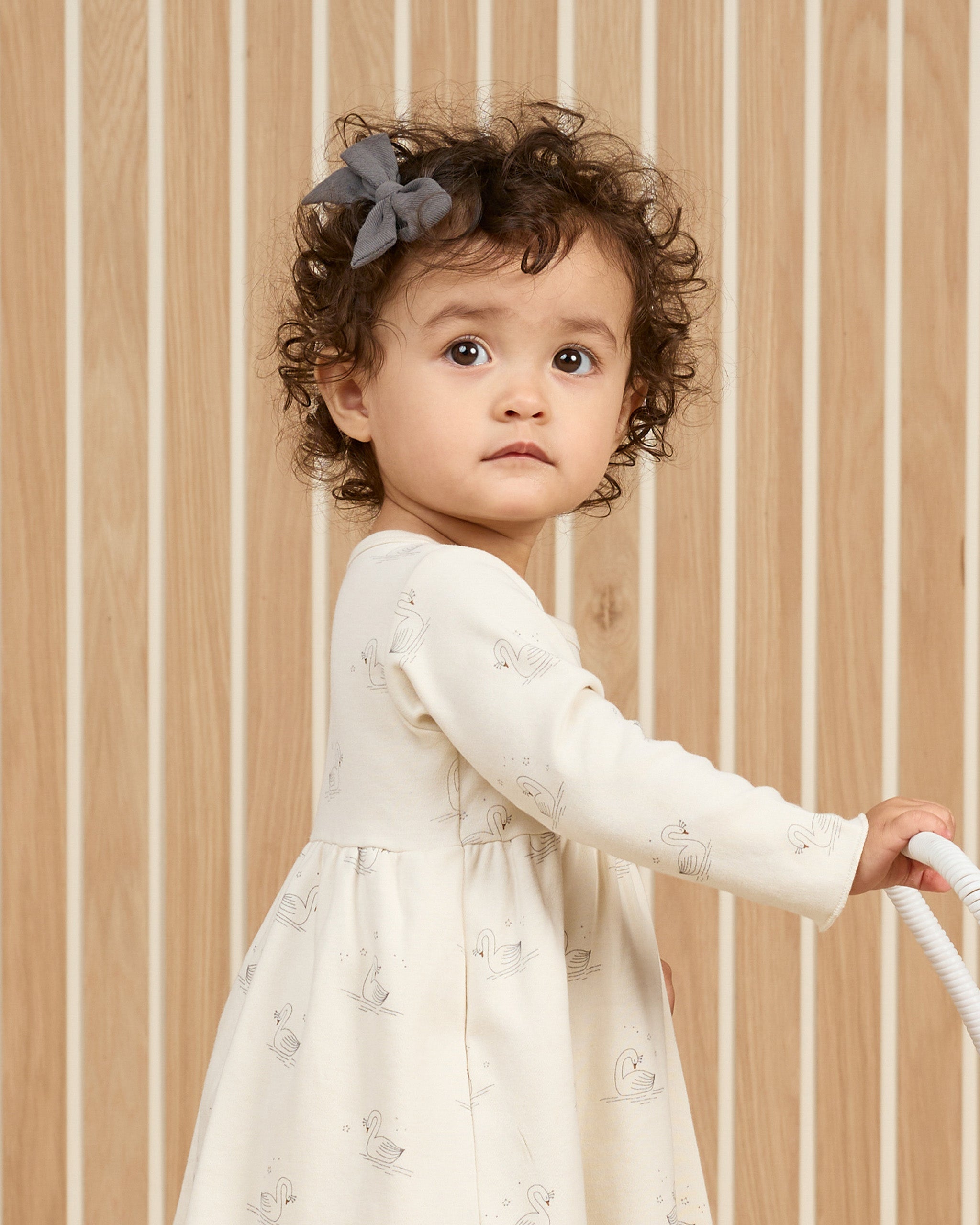 Long Sleeve Baby Dress