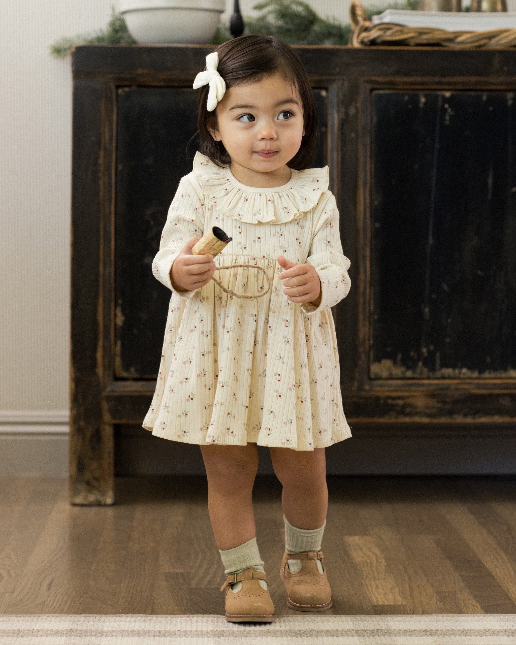 Ruffle Collar Dress