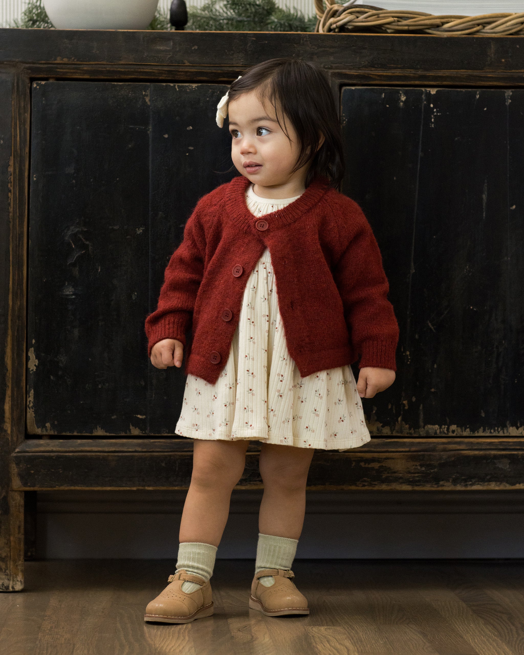 Ruffle Collar Dress