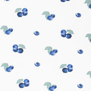 Zippered Print Footie