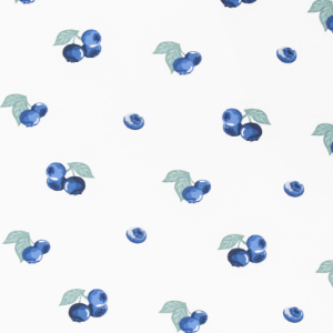 Zippered Print Footie