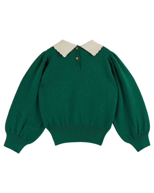 Pullover Collard Sweater