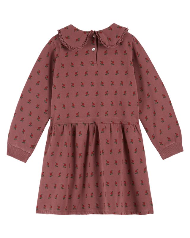 Collard Sweatshirt Dress