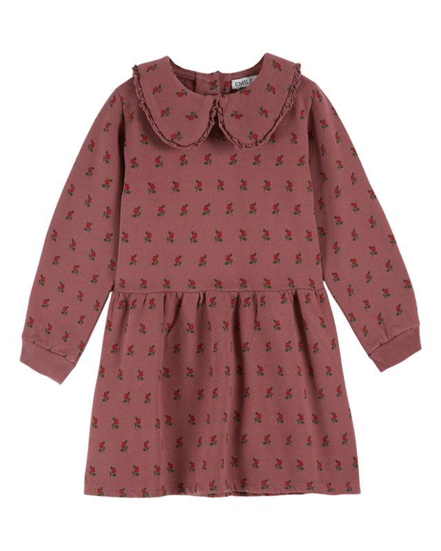 Collard Sweatshirt Dress